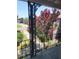 Scenic balcony view showcasing neighborhood greenery and vibrant crape myrtle trees at 867 Colony Dr # F 118, Charleston, SC 29407