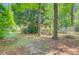 Grassy backyard featuring a chainlink fence, shady trees, and storage building at 105 Greendale Ct, Summerville, SC 29485