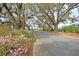 Charming street lined with mature trees and flowering bushes leading to this lovely home at 114 Marshside Dr, Summerville, SC 29485