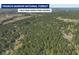 An aerial view showcases the lush greenery of Francis Marion National Forest at 1183 Reserve Ln, Awendaw, SC 29429