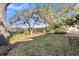 Expansive backyard with mature trees overlooking the marsh, creating a serene and private outdoor space at 1723 Live Oak Park, Seabrook Island, SC 29455