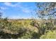 Scenic marsh view framed by trees, providing a serene backdrop with glimpses of a distant boardwalk at 1723 Live Oak Park, Seabrook Island, SC 29455