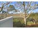 Scenic marsh view from the property, showcasing natural beauty and serene waterfront at 1723 Live Oak Park, Seabrook Island, SC 29455