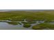 Stunning aerial view of a coastal marshland with intricate waterways and lush greenery at 226 Old House Ln, Dewees Island, SC 29451