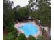 Large community pool surrounded by trees, lounge chairs, and umbrellas at 3198 Conservancy Ln, Charleston, SC 29414