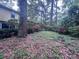 Backyard with trees and plants at 321 Fairington Dr, Summerville, SC 29485