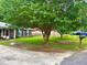 Spacious front yard with healthy lawn and mature tree providing ample shade at 4470 Farmwood Ct, Ladson, SC 29456