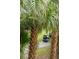 Picturesque golf course view framed by palm trees with a golf cart approaching down a path at 55 Seagrass Ln, Isle of Palms, SC 29451