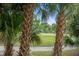 View of the property and golf course from behind palm trees at 55 Seagrass Ln, Isle of Palms, SC 29451
