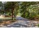 Long gravel driveway lined with mature trees and lush greenery leading to the property at 7986 Highway 162, Hollywood, SC 29449