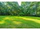 Lush backyard with green grass and wooded area at 107 Joes Ln, Summerville, SC 29486