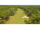 Aerial view of lush green golf course and mature trees at 112 Riviera Dr, Summerville, SC 29483