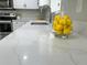Close up of countertop with stainless steel faucet and vase of lemons at 1350 Pinyon Pine Dr, Ladson, SC 29456