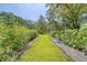 Rows of plants growing in a sunny garden at 150 Riverbend Ln, Ridgeville, SC 29472