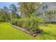 Garden filled with tomatoes and plants at 150 Riverbend Ln, Ridgeville, SC 29472