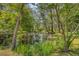 Lush pond surrounded by trees and plant life reflecting the beauty of the area at 150 Riverbend Ln, Ridgeville, SC 29472