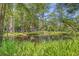 Scenic pond reflecting the charming property surrounded by lush greenery and mature trees at 150 Riverbend Ln, Ridgeville, SC 29472