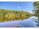 Scenic waterfront with trees reflecting on the water, offering a peaceful ambiance at 150 Riverbend Ln, Ridgeville, SC 29472