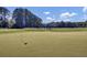 Scenic golf course view featuring a well-manicured green with a blue flag under a partly cloudy, vibrant blue sky at 173 Silver Cypress Cir, Summerville, SC 29485