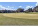 Well-maintained putting green with flags and benches surrounded by lush green grass and mature trees under a blue sky at 173 Silver Cypress Cir, Summerville, SC 29485