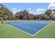 Outdoor tennis courts featuring a clean blue surface with green trim, surrounded by mature trees and a blue sky at 173 Silver Cypress Cir, Summerville, SC 29485