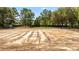 Cleared land ready for building, offering a blank canvas for your dream home with trees at 2640 Battle Trail Dr, Johns Island, SC 29455