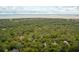Aerial view of a wooded neighborhood near the ocean at 2645 Gnarled Pine, Seabrook Island, SC 29455