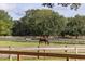 Scenic horse pasture with a white horse and a brown horse grazing in a wooden fenced field at 2645 Gnarled Pine, Seabrook Island, SC 29455