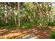 Landscaped backyard featuring mature trees and natural surroundings at 2645 Gnarled Pine, Seabrook Island, SC 29455