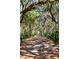 Lush nature trail with overhanging trees, foliage, and a path covered in fallen leaves at 2725 Starfish Dr, Johns Island, SC 29455