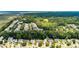 Neighborhood aerial view showing mature trees, well-maintained homes, and lush green landscape at 3038 Penny Ln, Johns Island, SC 29455