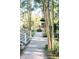Tranquil backyard view with a stone walkway, lush foliage, and a glimpse of the home's exterior and landscaping at 3751 St Ellens Dr, Mount Pleasant, SC 29466