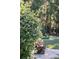 Beautiful backyard landscaping featuring a mix of lush greenery, colorful flowers, and a paved pathway at 3751 St Ellens Dr, Mount Pleasant, SC 29466