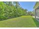 Serene backyard with a line of trees, lush grass, and a peek at the covered back porch at 420 Oak View Way, Summerville, SC 29483