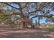 An elaborate wooden treehouse with multiple levels and slide under a majestic oak tree at 420 Oak View Way, Summerville, SC 29483