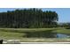 Scenic view of a serene pond surrounded by lush greenery and tall trees at 540 Scholar Way, Summerville, SC 29486