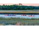 Fun water activity with people kayaking through calm waters surrounded by marshland vegetation at 5558 Green Dolphin Way, Kiawah Island, SC 29455