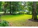 View of a shaded and lush back yard with abundant trees and healthy green grass at 808 Long Drive Rd, Summerville, SC 29485