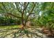Backyard with grassy area, mature trees and a view of the house at 11 49Th Ave, Isle of Palms, SC 29451