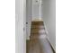 Carpeted hallway leads to upper level at 120 Apache Dr, Summerville, SC 29483