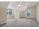 Large carpeted bedroom with vaulted ceiling and lots of natural light at 1308 Wild Olive Dr, Mount Pleasant, SC 29464