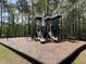 Outdoor playground with slides and swings surrounded by natural wooded scenery at 137 Salem Creek Dr, Goose Creek, SC 29445