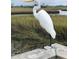 Closeup of a tall white bird standing on a wooden platform, overlooking a marshy landscape at 1551 Ben Sawyer Blvd # 4D, Mount Pleasant, SC 29464