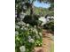 Lush landscaping of shrubs, hydrangeas, and trees lining a walkway and bridge at 1551 Ben Sawyer Blvd # 4D, Mount Pleasant, SC 29464