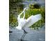 Elegant white egret dancing, surrounded by lush greenery and vibrant yellow flowers at 1551 Ben Sawyer Blvd # 4D, Mount Pleasant, SC 29464
