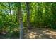 Scenic view of a serene wooded area with mature trees and a birdhouse attached to a tree at 1607 Roustabout Way, Charleston, SC 29414