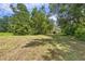 Spacious backyard featuring lush green grass, mature trees, and a cozy outdoor retreat in the background at 1736 Central Ave, Summerville, SC 29483