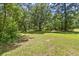 Expansive backyard with mature trees, grassy area, and a distant view of the house at 1736 Central Ave, Summerville, SC 29483