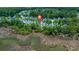 An aerial view showcases the neighborhood's homes, marshy surroundings, and wooded areas at 1844 Hubbell Dr, Mount Pleasant, SC 29466