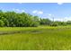 Lush backyard with a grassy bank behind the treeline at 1915 Quitman St, North Charleston, SC 29405